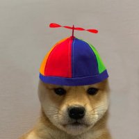 GG⁷ (@gg7_sol) 's Twitter Profile Photo GG⁷ (@gg7_sol) 's Twitter Profile Photo