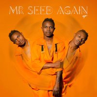Mr.Seed Kenya (@mrseedofficial) 's Twitter Profile