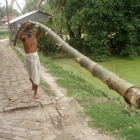 टिम्बर मर्चेंट 😉 (@merchant00024) 's Twitter Profile