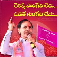 Telukuntla Vamshider Reddy(@TelukuntlaVams2) 's Twitter Profile Photo