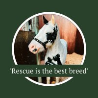 Hope Pastures 🐴(@HopePastures) 's Twitter Profile Photo