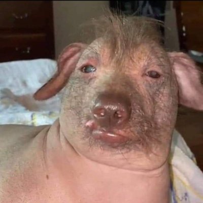 420_gunna's profile picture. 🏴‍☠️ free claude