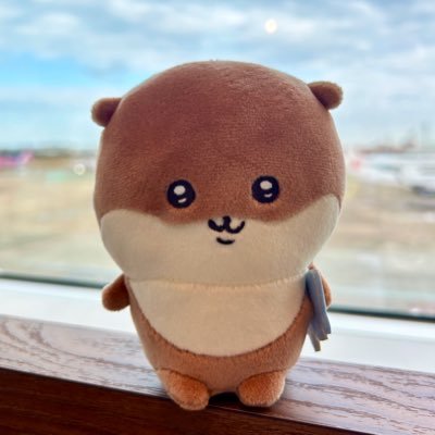 CFPM18g's profile picture. 楽しく野球してる姿を見ていたいだけ🦦⚾️