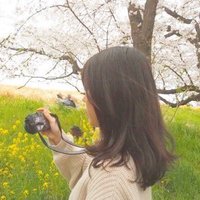 ちの🌈 (@panchino0002) Twitter profile photo