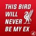 David Tovey (@dtovey82) Twitter profile photo David Tovey (@dtovey82) Twitter profile photo