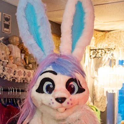 This is a NFSW account 🔞 posts of my Fursona and my Kigsonas,  I do have a SFW dedicated cosplay account @kig_tagawa