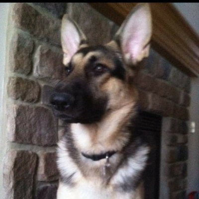 MAVERICK~1776🇺🇸🇺🇸🇺🇸