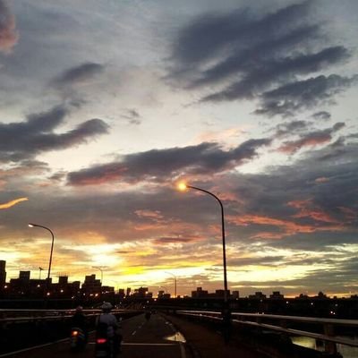 harpseal1219's profile picture. 