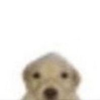 깜さんのプロフィール画像