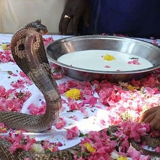 kumar_suresh577's profile picture. “सकारात्मक सोचो, सकारात्मक रहो।”