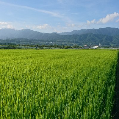 ノベライズなどをしています。『荒野のコトブキ飛行隊　荒野千一夜』、『天穂のサクナヒメ ココロワ稲作日誌』、『ギャング側の証人』、『怪獣8号 密着！第3部隊』、『怪獣8号 side B』など。