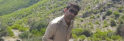 shoaib Muhammad Profile