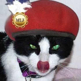 Randi_Villemo's profile picture. We are 2 kittens living with mamaVillemo a tabbyboy & Randi a tuxedogirlRandi is adopted.luv snuggle,play,hunt,patrol n eat. Proud member of #wlf