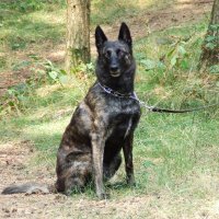 Rudolfijntje ๐ท๐บ (@rudolfijntje59) 's Twitter Profile