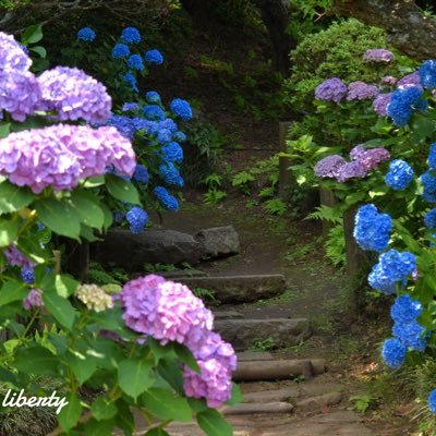 hero860223's profile picture. 