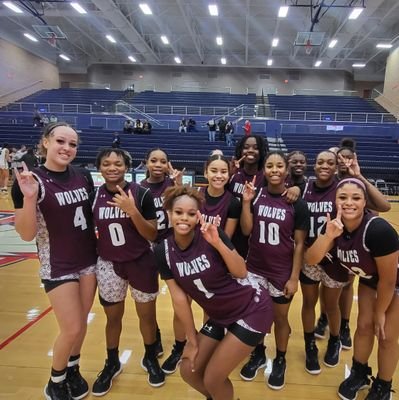 Mansfield Timberview gbb