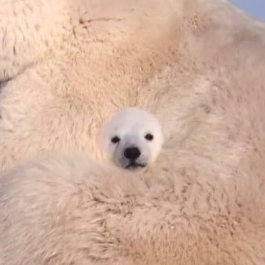 bigmomo5315's profile picture. 