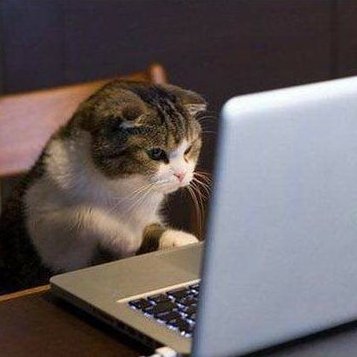 Angl3ss's profile picture. Trying to learn Java, I SWEAR