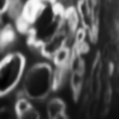 roger_bourne's profile picture. Senior Lecturer at University of Sydney. Research: Diffusion-weighted MRI of cancer.