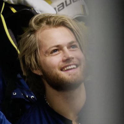 daily william nylander