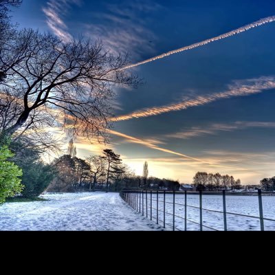 Bffyilkhfdetsp's profile picture. wolfarchhh