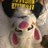 Toyota Ras4 (@ras_shibe) 's Twitter Profile