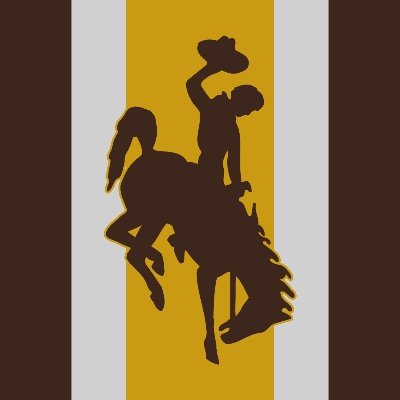 Collector of Kirby Puckett and Wyoming related players (Josh Allen, UW, born in etc)