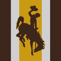 Brown&Gold Standard (@wyotomn) 's Twitter Profile Photo Brown&Gold Standard (@wyotomn) 's Twitter Profile Photo