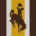 Brown&Gold Standard (@wyotomn) Twitter profile photo Brown&Gold Standard (@wyotomn) Twitter profile photo