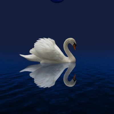 myaanka1's profile picture. White and black