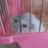 seyeon95's profile image
