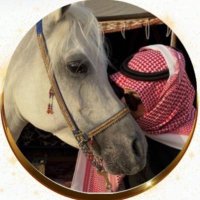 راكان (@n_zi7i) Twitter profile photo
