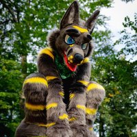 ToxicFox (@toxicfox53) 's Twitter Profile Photo ToxicFox (@toxicfox53) 's Twitter Profile Photo