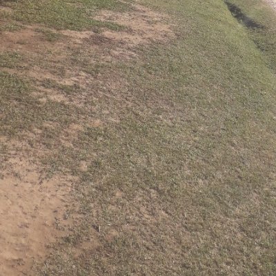 SGreen0912's profile picture. 