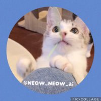ねこ🖤 (@neow_neow_ai) 's Twitter Profile