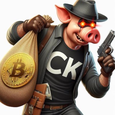 CK_Cryptoklepto Profile Picture