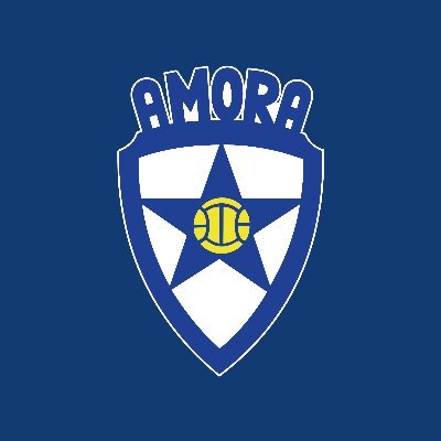 Página Oficial da Amora FC - Futebol, SAD | Aqui vive o #CoraçãoDeAmora 💙