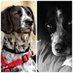 Rumbi, 🌈DerMooderich🌈 & Mama Moo (@_dermoody_) Twitter profile photo Rumbi, 🌈DerMooderich🌈 & Mama Moo (@_dermoody_) Twitter profile photo