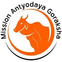 Cow’s Life Matter(@SaveAbusedCows) 's Twitter Profile Photo