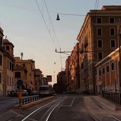 RaduSasha54380's profile picture. 