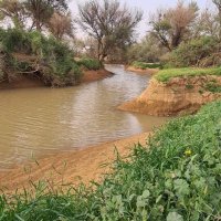 عبدالله العيسى (@abdullahalissa6) 's Twitter Profile