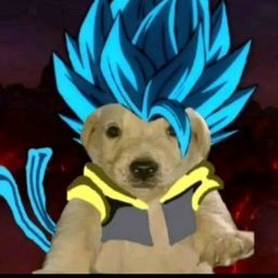 JhonMachac4's profile picture. 
