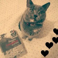 💜 Chapitas 🐈⬛ 🌈💚🍉✌️ (@chappanchi) 's Twitter Profile