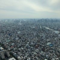 たまき (@pochipochiiine) Twitter profile photo