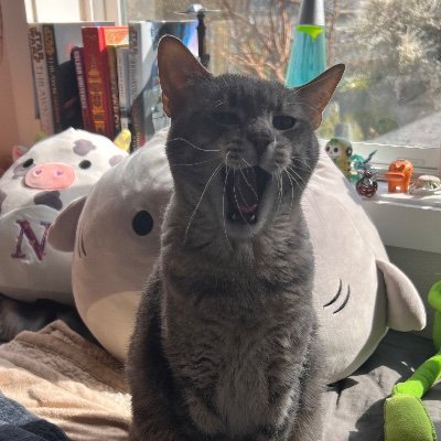 auditory's profile picture. Producer of things educational, digital and aural.