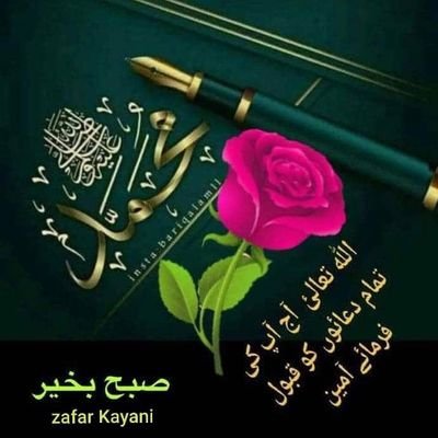 RizwanUlla24629's profile picture. 