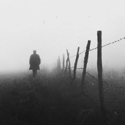 joseant29733949's profile picture. 