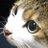 ねこちゃん