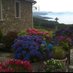 Española. (@trasmonte1955) Twitter profile photo Española. (@trasmonte1955) Twitter profile photo