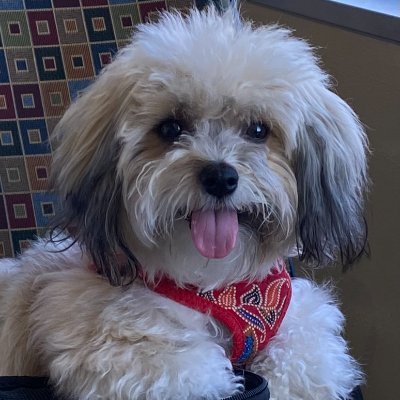 Bdskhughes's profile picture. 